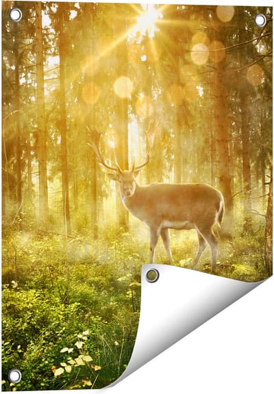 Gards Tuinposter Hert in Bos met Zon - 40x50 cm - Tuindoek - Tuindecoratie - Wanddecoratie buiten - Tuinschilderij