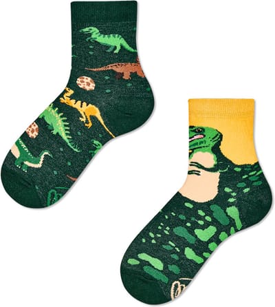 Many Mornings kids sokken the dinosaurs multi