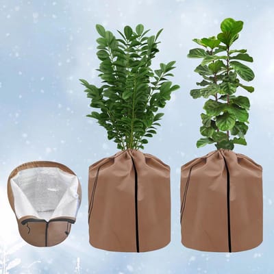 Dailygoods - Set van 2 thermische potbeschermers, 45 x 50 cm, winterbescherming voor potplanten met trekkoord en ritssluiting, vorstbescherming voor oleander, olijfbomen en struiken, ademend en