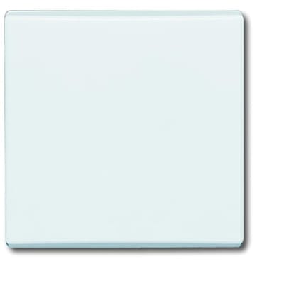 ABB Busch-Jaeger Schakelelement/Centrale Plaat voor Alle weersomstandigheden IP44 - 2CKA001731A1593 - E2AD9