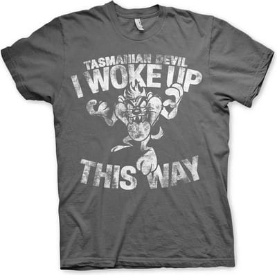 Looney Tunes Heren Tshirt -S- Tasmanian Devil - I Woke Up This Way Grijs