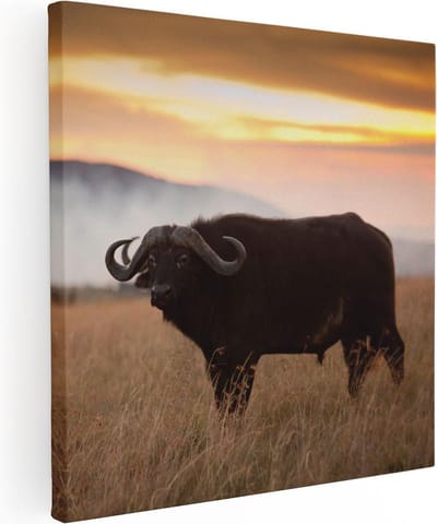 Artaza Canvas Schilderij Dierenkop Buffel - 30x30 cm - Klein - Wanddecoratie Wilde Dieren - Muurdecoratie Afrikaans - Kamer Accessoires Woonkamer