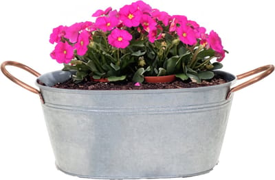 Mega Collections Teil/plantenpot/bloempot Jean - ovaal - zink - zilver - L24 x D15 X H11 cm