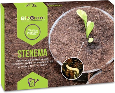 Aaltjes tegen Rouwvliegjes - Stenema 10m² - Rouwvliegjes bestrijden tot 25 kamerplanten - zwarte vliegjes in kamerplanten bestrijden