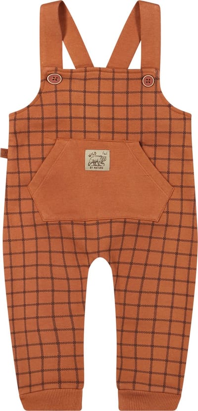 Frogs and Dogs-Tuinbroekje met Checks print - Bruin - Maat 50/56