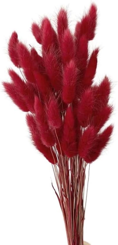 Gedroogd Pampasgras - Droogbloemen Boeket - Woonkamer Decoratie - Natuurlijke Uitstraling - 50 Stuks - Donkerrood