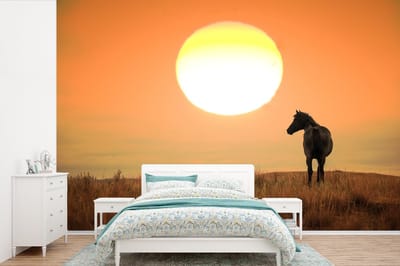 Behang - Fotobehang Wild paard op grasland - Breedte 420 cm x hoogte 280 cm