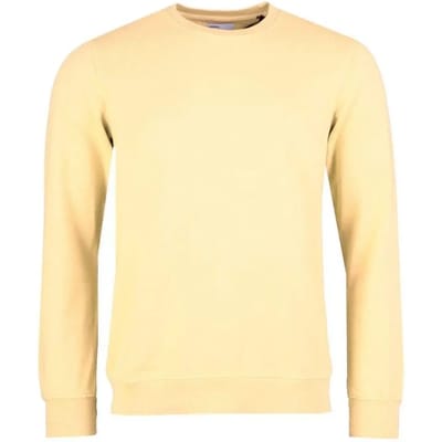 Sweatshirt ronde hals Colorful Standard Classic Organic soft yellow