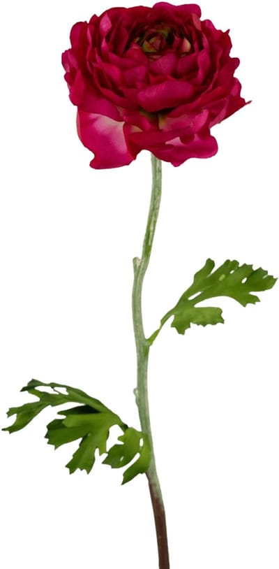Easyplants | Kunstbloem Ranunculus 51 cm donkerroze | Zijde | Nepbloemen | donkerroze | Onderhoudsvrij | Kant-en-klaar