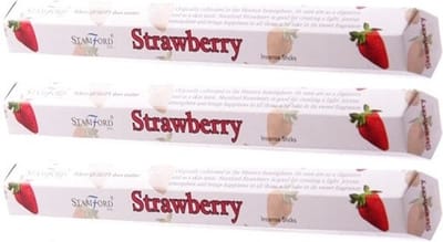3x Stamford wierook stokjes aardbei geur - Lichaam in balans - Meditatie/mediteren geurstokjes