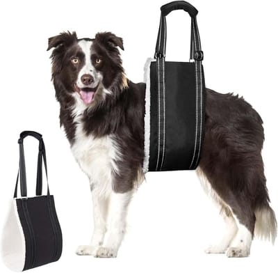 Verstelbare Draaghulp voor Honden, Ondersteuning voor Gehandicapte en Oudere Honden, Veilig en Comfortabel voor Kleine, Middelgrote en Grote Honden