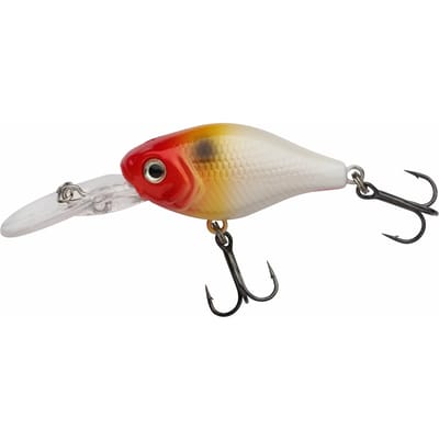 Lok Berkley Pulse Fry deep