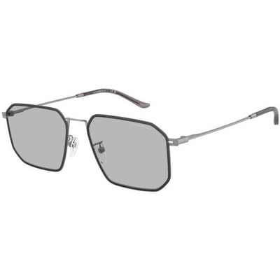 Zonnebril Emporio Armani 0EA2165D 300387