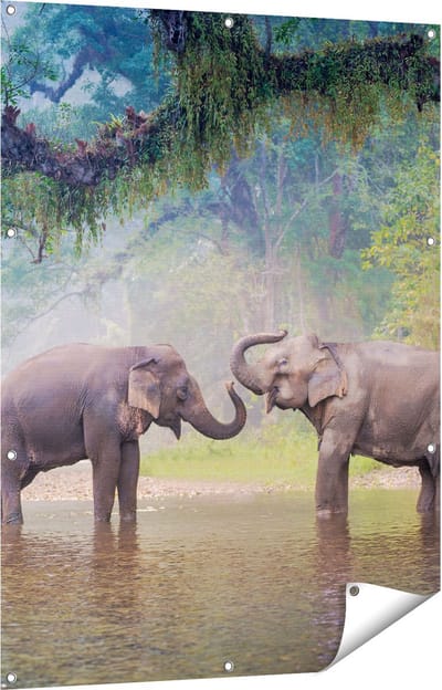 Gards Tuinposter Twee Olifanten in het Water - 90x120 cm - Tuindoek - Tuindecoratie - Wanddecoratie buiten - Tuinschilderij