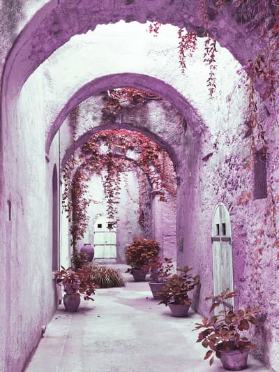 Fotobehang Passage Flowers Pink | XXL - 206cm x 275cm | 130g/m2 Vlies