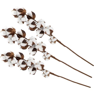 3 stuks 10 Bollen Natuurlijke Katoenstelen Kapok Gedroogde Bloem Bruiloftsfeest Woondecoratie 60cm
