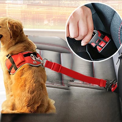 *** Hondenriem Autogordel - Veilig Onderweg - Gordel Riem Autogordel - Seat Belt-van Heble® ***