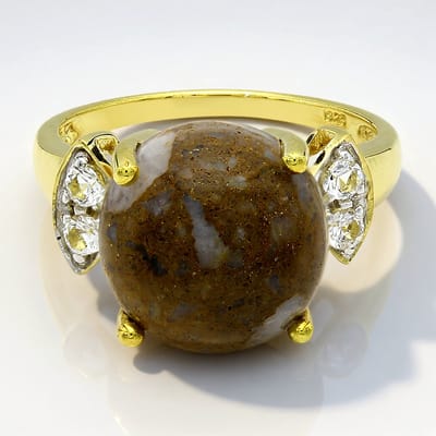 Cavill - Elegante Ring 925 Zilver Geel Verguld - 6,41 ct Ronde Dinosaurus Kwarts VS - 0,23 ct Witte Topaas Braziliaans - Maat 17