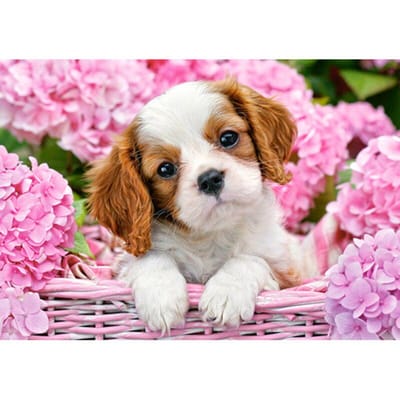 Décoration de la maison bricolage 5D diamant broderie  chien mignon dans un panier de fleurs  point de croix plein de diamant 20X30CM pink