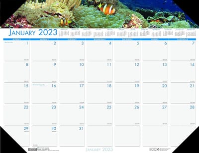 2023 Maandelijkse Bureau Kalender - Earthscapes Sea Life Design, 22 x 17 inch, Januari - December