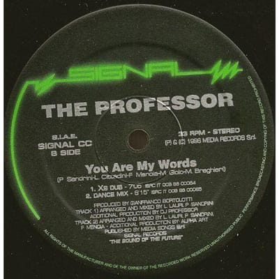 12-inch Plaat DJ PROFESSOR - You Are My Words SIGNALCC Signal 1996 Italië Dans & Electronica Gebruikt gray