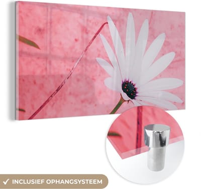 MuchoWow® Glasschilderij 40x20 cm - Schilderij acrylglas - Bloemen - Roze - Vintage - Foto op glas - Schilderijen