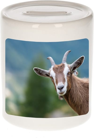 Dieren geit foto spaarpot 9 cm jongens en meisjes - Cadeau spaarpotten geiten liefhebber