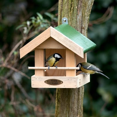 CJ Wildlife Vogelvoederhuisje voor Kleine Vogels & Tuinvogels - Amazone - Voederhuis van Hout - Voederhuisje Wandmodel - Bruin
