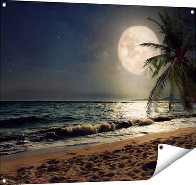 Gards Tuinposter Tropisch Strand in de Nacht met Volle Maan - 100x80 cm - Tuindoek - Tuindecoratie - Wanddecoratie buiten - Tuinschilderij