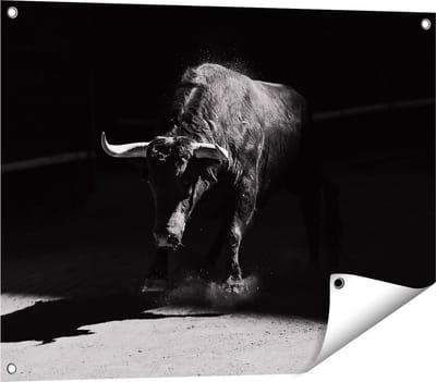 Gards Tuinposter Stier in de Arena - Zwart Wit - 80x60 cm - Tuindoek - Tuindecoratie - Wanddecoratie buiten - Tuinschilderij