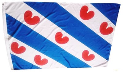 Go Go Gadget - Friese vlag - 90x150cm - Friesland