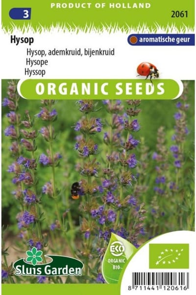 Sluis Garden - Hysop Biologisch (Hyssopus officinalis)