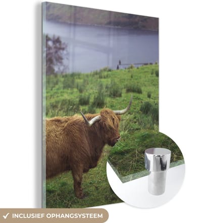 MuchoWow® Glasschilderij 120x160 cm - Schilderij acrylglas - Schotse Hooglander - Gras - Water -Dieren - Foto op glas - Schilderijen