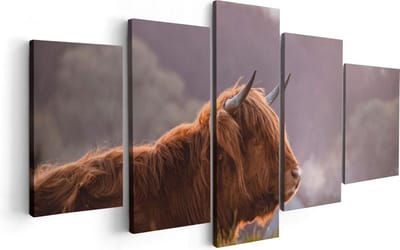 Artaza Canvas Schilderij Vijfluik Schotse Hooglander Koe Ligt In Het Gras - 100x50 - Foto Op Canvas - Canvas Print