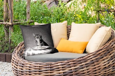 Buitenkussen - Bengaal - Kat - Tafelkleed - Zwart - Wit - Dier - 45x45 cm - Weerbestendig