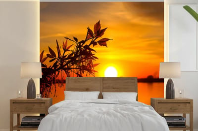 Behang - Fotobehang Zonsondergang - Water - Planten - Oranje - Breedte 220 cm x hoogte 220 cm