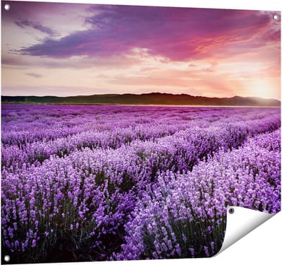 Gards Tuinposter Bloemenveld met Paarse Lavendel - Bloemen - 100x80 cm - Tuindoek - Tuindecoratie - Wanddecoratie buiten - Tuinschilderij
