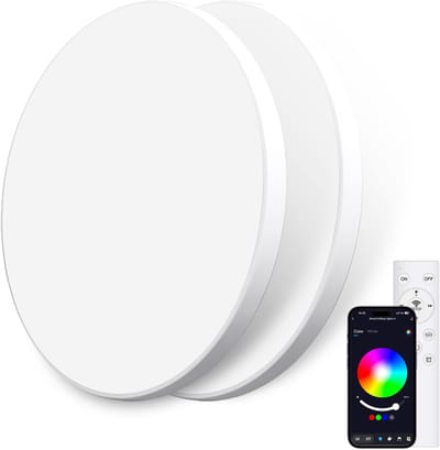 Oraymin 2x RGB LED Plafondlamp - Afstandsbediening - 24W 2400LM - Ø30cm