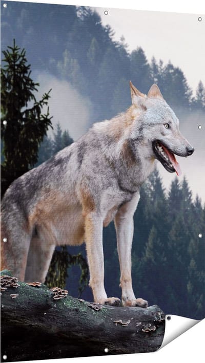 Gards Tuinposter Grijze Wolf in de Bossen - 100x150 cm - Tuindoek - Tuindecoratie - Wanddecoratie buiten - Tuinschilderij