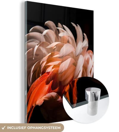 MuchoWow® Glasschilderij 120x160 cm - Schilderij acrylglas - Flamingo - Veren - Licht - Macro - Foto op glas - Schilderijen