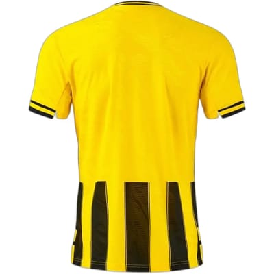 Maillot Joma Premier