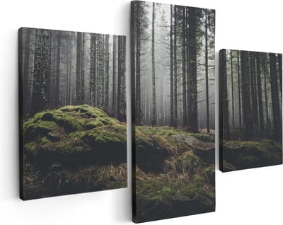 Artaza Canvas Schilderij Drieluik Bos Met Mos Op Rotsen - 90x60 - Foto Op Canvas - Canvas Print