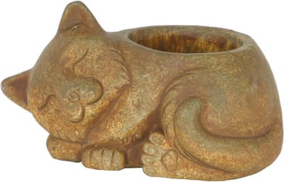 Kleine kattenplantenbak - Roestkleurige cementpot voor vetplanten