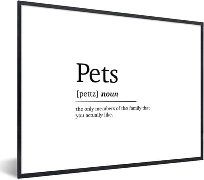 Fotolijst incl. Poster - Huisdieren definitie - Spreuken - Pets - Quotes - Woordenboek - 40x30 cm - Posterlijst