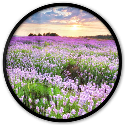 Poster in lijst Rond - Fotolijst 40x40 cm - Posters - Lavendel - Bloemen - Zonsondergang - Paars - Weide - Ronde posterlijst zwart - Decoratie - Wanddecoratie woonkamer - Muurdecoratie slaapkamer