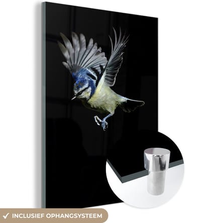 MuchoWow® Glasschilderij 120x160 cm - Schilderij acrylglas - Vogel - Veren - Portret - Foto op glas - Schilderijen