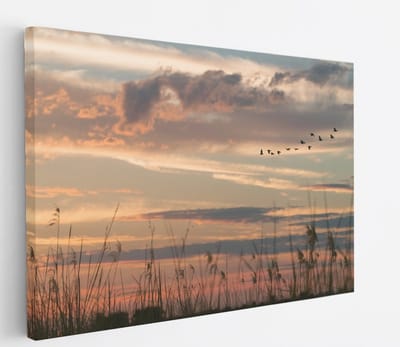 Saammp Canvas Schilderij -Vogels tijdens Golden hour - Zonsondergang - Landschap - Natuur - 45x30 - Foto op canvas - Wanddecoratie - Muurdecoratie Woonkamer - Slaapkamer decoratie - Canvas Print