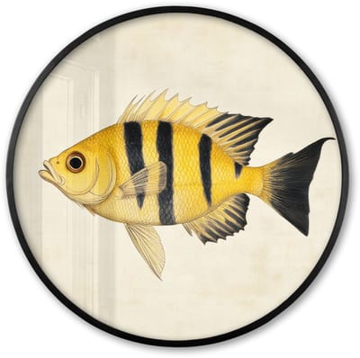 Poster in lijst Rond - Fotolijst 60x60 cm - Posters - Geel - Vis - Strepen - Tropisch - Ronde posterlijst zwart - Decoratie - Wanddecoratie woonkamer - Muurdecoratie slaapkamer