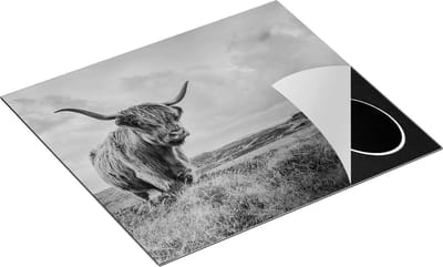Chefcare Inductie Beschermer Schotse Hooglander in de Wei - Zwart Wit - 60x50 cm - Afdekplaat Inductie - Kookplaat Beschermer - Inductie Mat