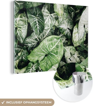 MuchoWow® Glasschilderij 120x90 cm - Schilderij acrylglas - Bladeren - Planten - Natuur - Foto op glas - Schilderijen